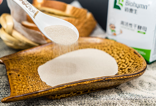 91免费视频网站500g產品