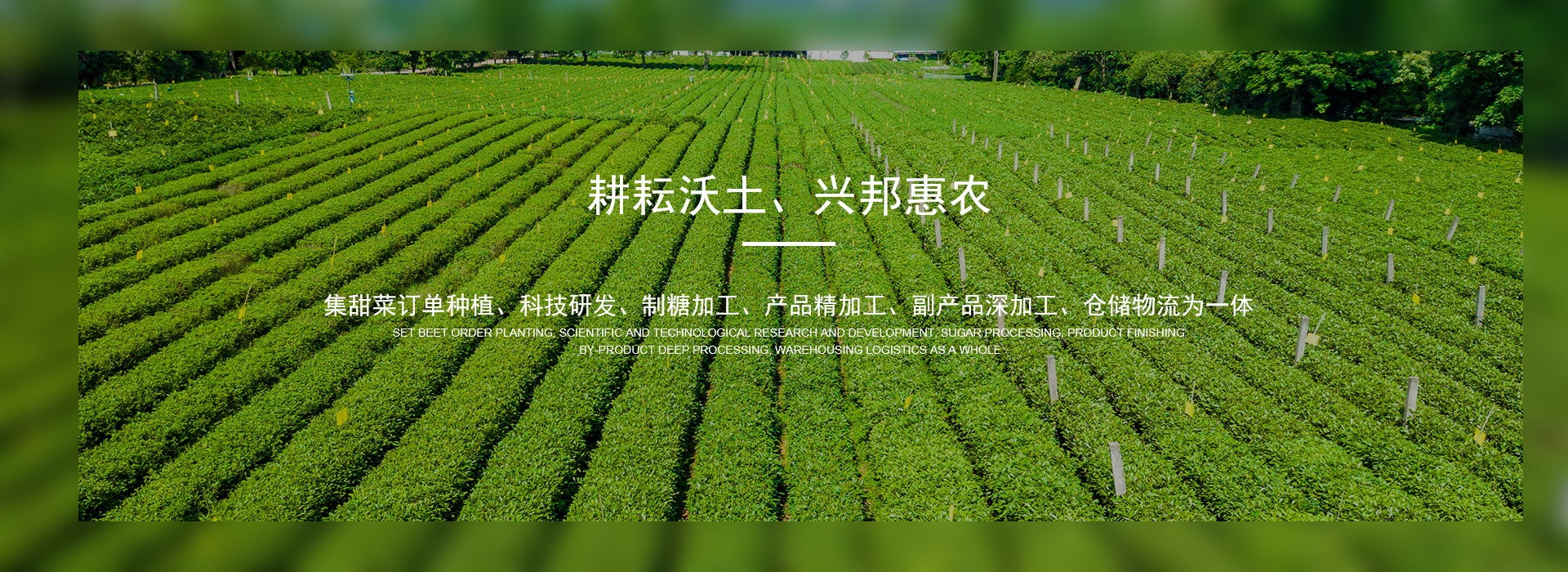 酵母（mǔ）廠家